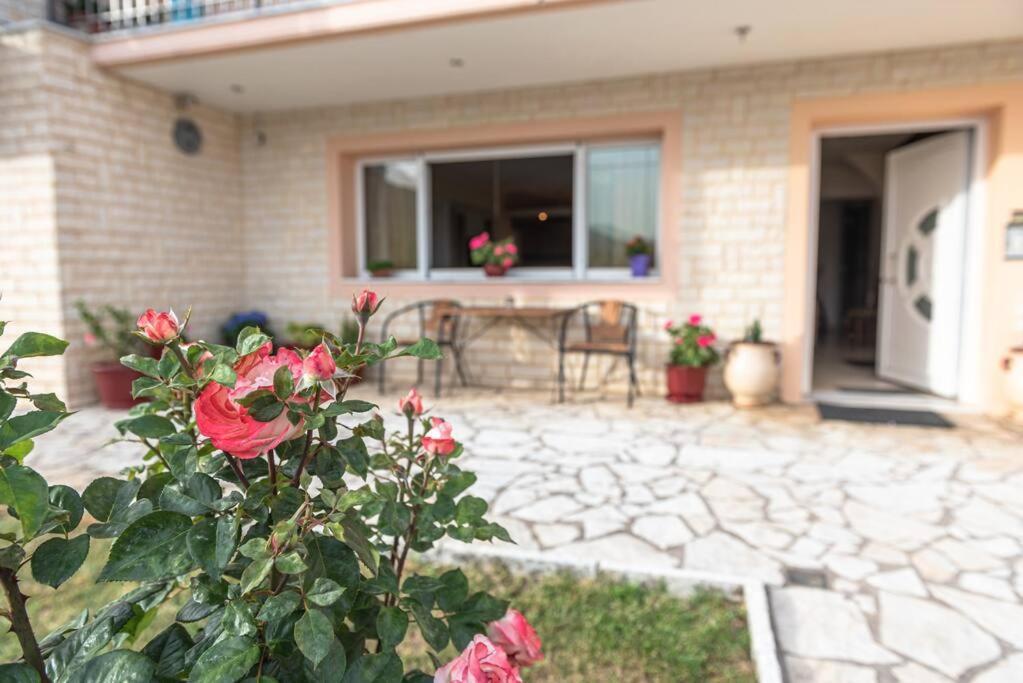 카페니시온 Dimitri'S Mountain House 아파트 외부 사진
